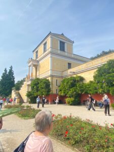 WhatsApp Image 2025-08-08 at 09.49.15